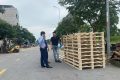 Giá bán pallet gỗ phụ thuộc vào những yếu tố nào?