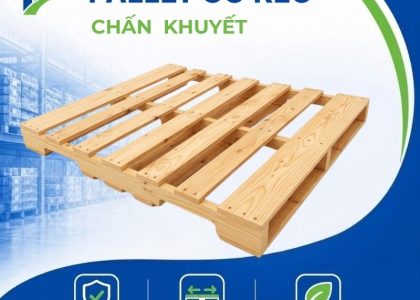 Pallet gỗ keo chấn khuyết thiết kế thông minh cho phép xe nâng tay và xe nâng máy tiếp cận 4 chiều. Chịu tải cao, bền bỉ, giá xưởng.
