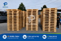 Tiên Phong Pallet Hoàn Thành Đơn Hàng Hơn 10.000 Pallet Cho Công Ty PepsiCo