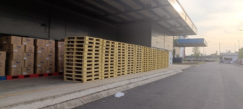 Vì sao các doanh nghiệp nên lựa chọn pallet gỗ? Giải pháp tối ưu cho lưu kho và vận chuyển hàng hóa